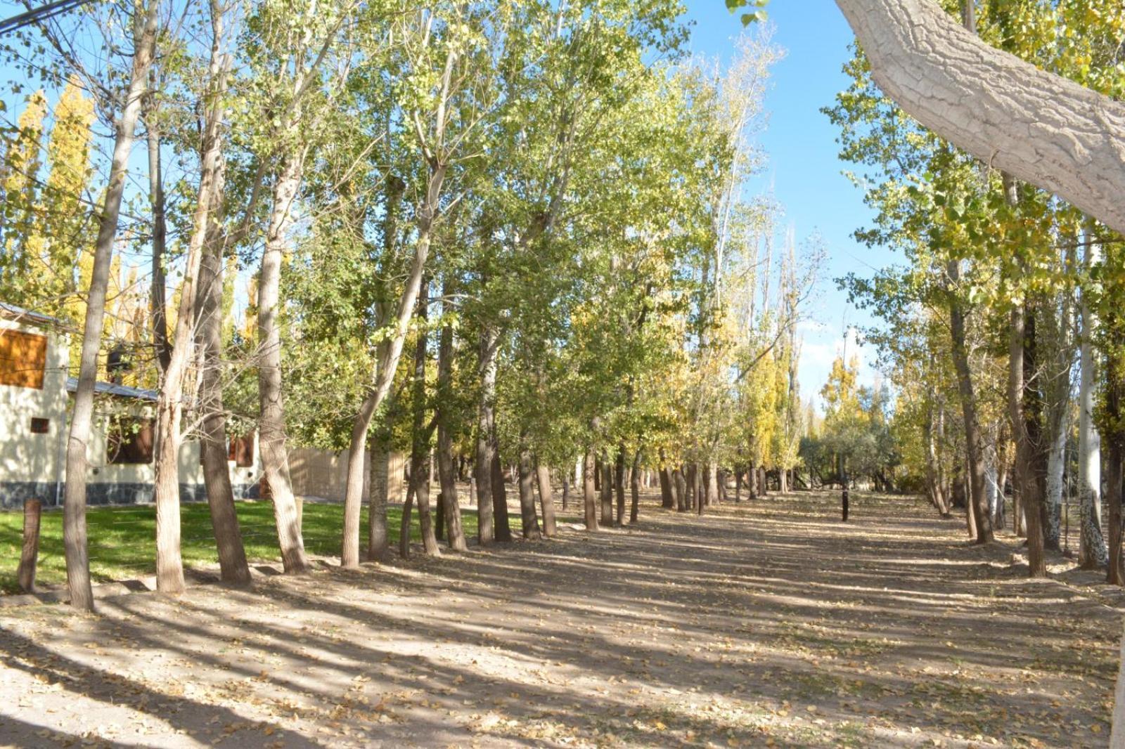 Chalet El Alamo